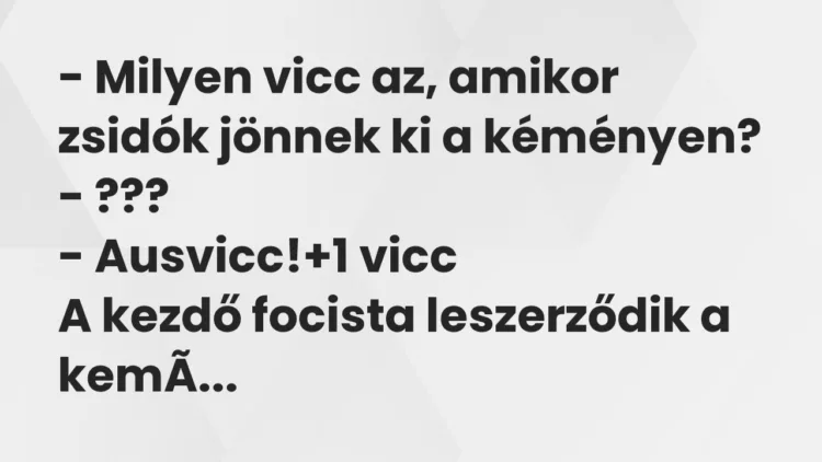 Vicc: – Milyen vicc az, amikor zsidók jönnek ki a kéményen? – ??? -…