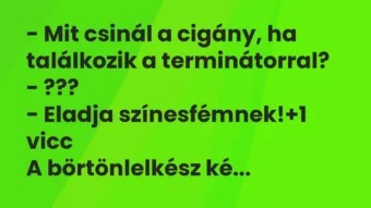 Vicc: – Mit csinál a cigány, ha találkozik a terminátorral? – ??? – Eladja…