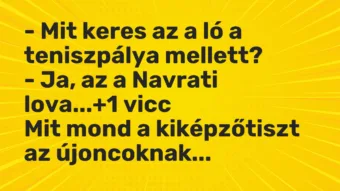 Vicc: – Mit keres az a ló a teniszpálya mellett? – Ja, az a Navrati lova…