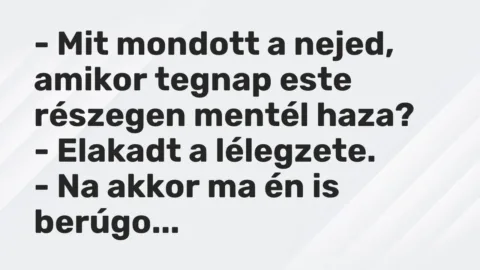Vicc: – Mit mondott a nejed, amikor tegnap este részegen mentél haza?

– Elakadt a…
