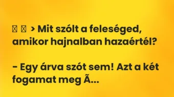 Vicc: > Mit szólt a feleséged, amikor hajnalban hazaértél? – Egy …