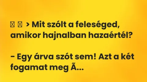 Vicc: 
	    	    > Mit szólt a feleséged, amikor hajnalban hazaértél?


– Egy …