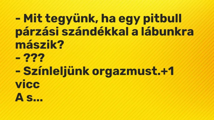 Vicc: – Mit tegyünk, ha egy pitbull párzási szándékkal a lábunkra mászik? -…