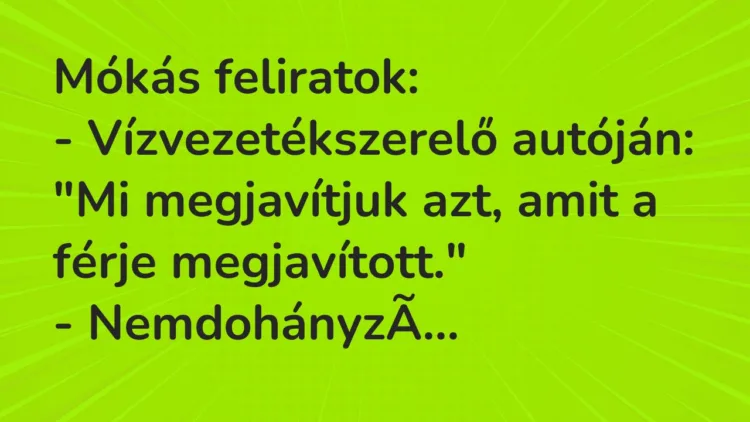 Vicc: Mókás feliratok: – Vízvezetékszerelő autóján: „Mi megjavítjuk azt, amit a…
