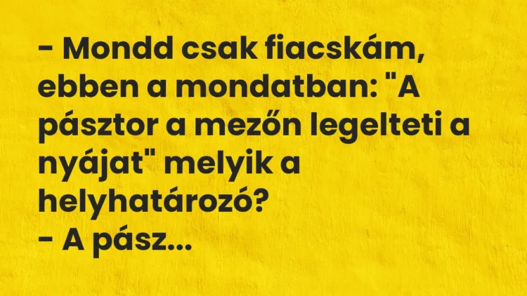 Vicc: – Mondd csak fiacskám, ebben a mondatban: „A pásztor a mezőn legelteti a nyájat”…