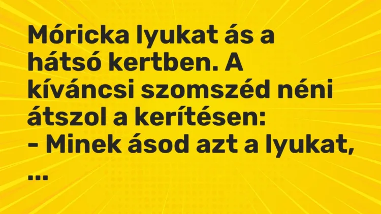 Vicc: Móricka lyukat ás a hátsó kertben. A kíváncsi szomszéd néni átszol a… Vicc: Móricka lyukat ás a hátsó kertben. A kíváncsi szomszéd néni átszol a…