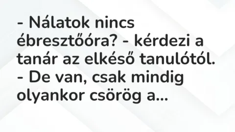 Vicc: – Nálatok nincs ébresztőóra? – kérdezi a tanár az elkéső tanulótól.

– De…