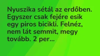 Vicc: Nyuszika sétál az erdőben. Egyszer csak fejére esik egy piros bicikli. Felnéz,…