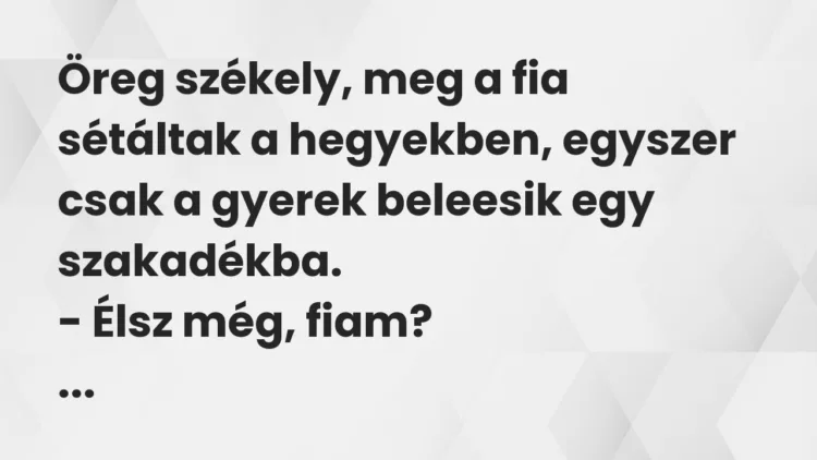 Vicc: Öreg székely, meg a fia sétáltak a hegyekben, egyszer csak a gyerek beleesik egy…