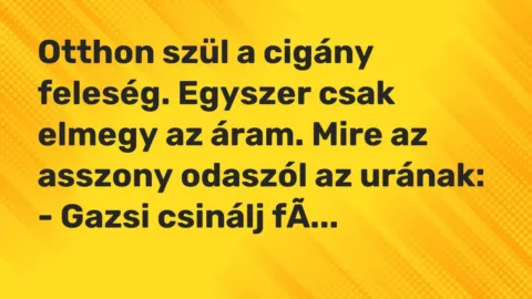 Vicc: Otthon szül a cigány feleség. Egyszer csak elmegy az áram. Mire az asszony…