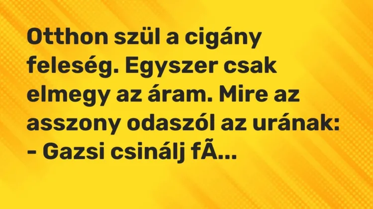 Vicc: Otthon szül a cigány feleség. Egyszer csak elmegy az áram. Mire az asszony… Vicc: Otthon szül a cigány feleség. Egyszer csak elmegy az áram. Mire az asszony…