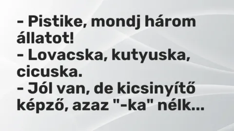 Vicc: – Pistike, mondj három állatot!

– Lovacska, kutyuska, cicuska.

– Jól…