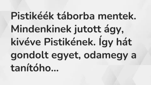 Vicc: Pistikéék táborba mentek. Mindenkinek jutott ágy, kivéve Pistikének. Így hát…