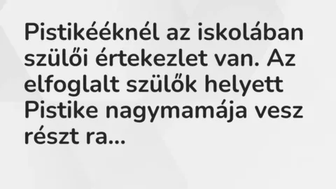 Vicc: Pistikééknél az iskolában szülői értekezlet van. Az elfoglalt szülők helyett…