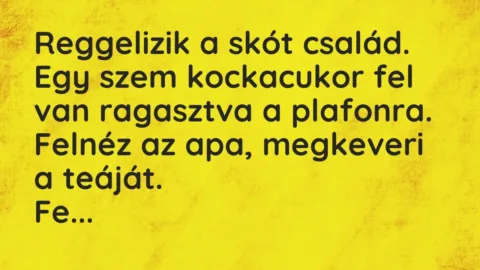 Vicc: Reggelizik a skót család. Egy szem kockacukor fel van ragasztva a…