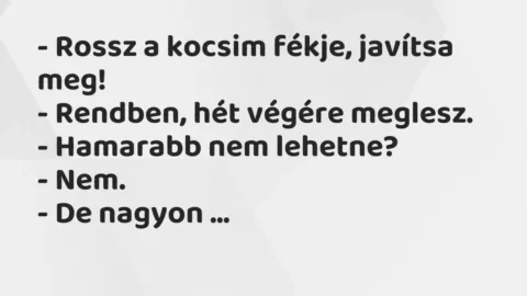 Vicc: – Rossz a kocsim fékje, javítsa meg!

– Rendben, hét végére meglesz.

-…