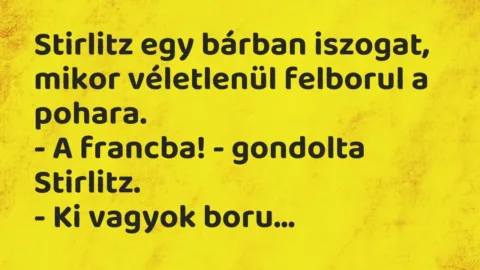 Vicc: Stirlitz egy bárban iszogat, mikor véletlenül felborul a pohara.

– A…