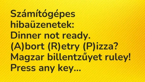 Vicc: Számítógépes hibaüzenetek:

Dinner not ready.

(A)bort (R)etry…