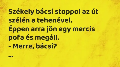Vicc: Székely bácsi stoppol az út szélén a tehenével.

Éppen arra jön egy mercis…