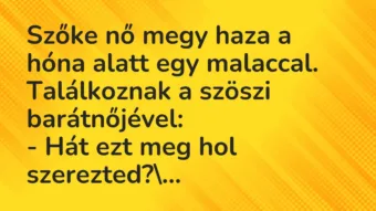 Vicc: Szőke nő megy haza a hóna alatt egy malaccal. Találkoznak a szöszi…