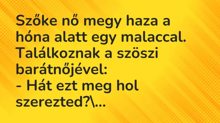 Vicc: Szőke nő megy haza a hóna alatt egy malaccal. Találkoznak a szöszi…