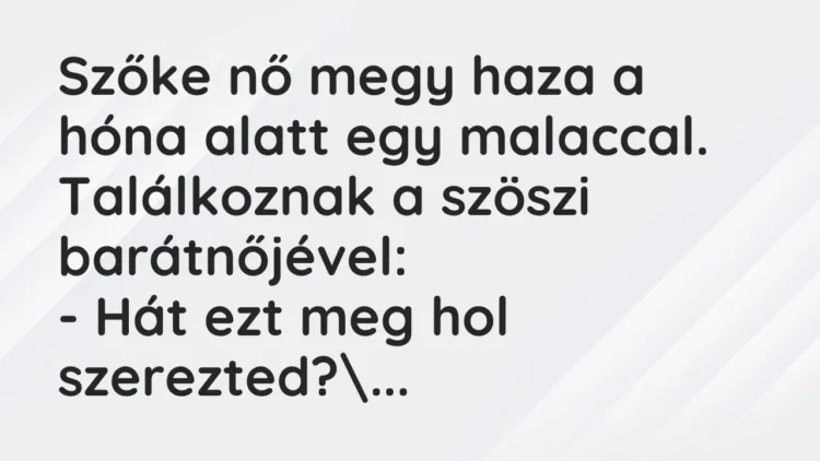 Vicc: Szőke nő megy haza a hóna alatt egy malaccal. Találkoznak a szöszi…