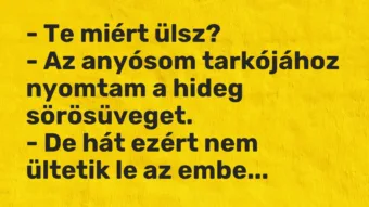 Vicc: – Te miért ülsz? – Az anyósom tarkójához nyomtam a hideg…