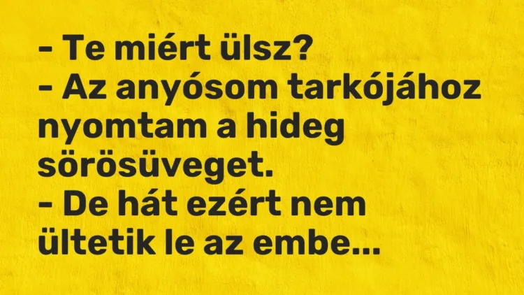 Vicc: – Te miért ülsz?
– Az anyósom tarkójához nyomtam a hideg… Vicc: – Te miért ülsz?
– Az anyósom tarkójához nyomtam a hideg…