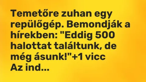 Vicc: Temetőre zuhan egy repülőgép. Bemondják a hírekben: „Eddig 500 halottat…