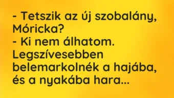 Vicc: – Tetszik az új szobalány, Móricka? – Ki nem álhatom. Legszívesebben…
