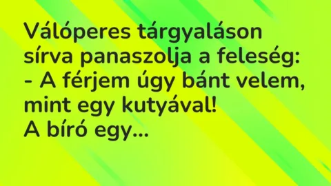 Vicc: Válóperes tárgyaláson sírva panaszolja a feleség:

– A férjem úgy bánt…
