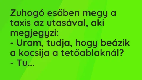 Vicc: Zuhogó esőben megy a taxis az utasával, aki megjegyzi:

– Uram, tudja, hogy…