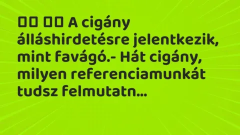 Viccek: 
		  
		  A cigány álláshirdetésre jelentkezik, mint favágó.- Hát…
