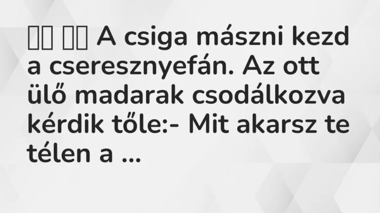 Viccek: A csiga mászni kezd a cseresznyefán. Az ott ülő madarak…