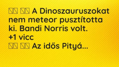 Viccek: 
		  
		  A Dinoszauruszokat nem meteor pusztította ki. Bandi Norris …
