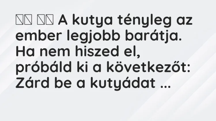 Viccek: A kutya tényleg az ember legjobb barátja. Ha nem hiszed el,…