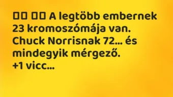 Viccek: A legtöbb embernek 23 kromoszómája van. Chuck Norrisnak…
