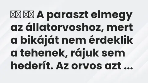 Viccek: 
		  
		  A paraszt elmegy az állatorvoshoz, mert a bikáját nem…