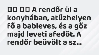 Viccek: 
		  
		  A rendőr ül a konyhában, atűzhelyen fő a bableves, és a…
