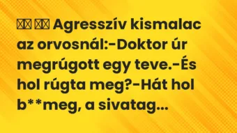 Viccek: Agresszív kismalac az orvosnál:-Doktor úr megrúgott egy…