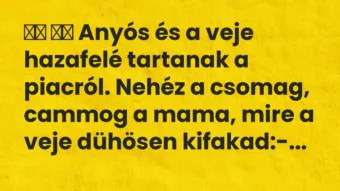 Viccek: Anyós és a veje hazafelé tartanak a piacról. Nehéz a…