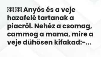 Viccek: Anyós és a veje hazafelé tartanak a piacról. Nehéz a…