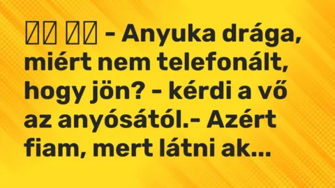 Viccek: 
		  
		  – Anyuka drága, miért nem telefonált, hogy jön? – kérdi a…