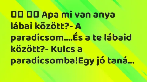 Viccek: 
		  
		  Apa mi van anya lábai között?- A paradicsom….És a…