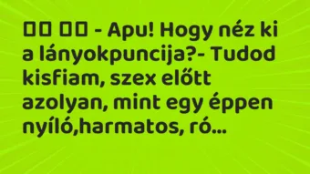 Viccek: – Apu! Hogy néz ki a lányokpuncija?- Tudod kisfiam,…