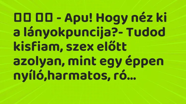Viccek: – Apu! Hogy néz ki a lányokpuncija?- Tudod kisfiam,…