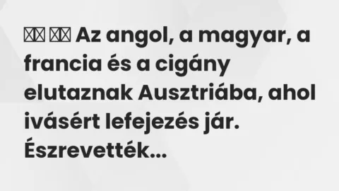 Viccek: 
		  
		  Az angol, a magyar, a francia és a cigány elutaznak…