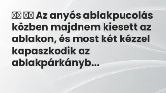 Viccek: Az anyós ablakpucolás közben majdnem kiesett az ablakon, és…