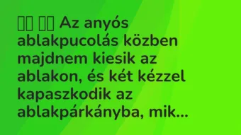 Viccek: Az anyós ablakpucolás közben majdnem kiesik az ablakon, és …
