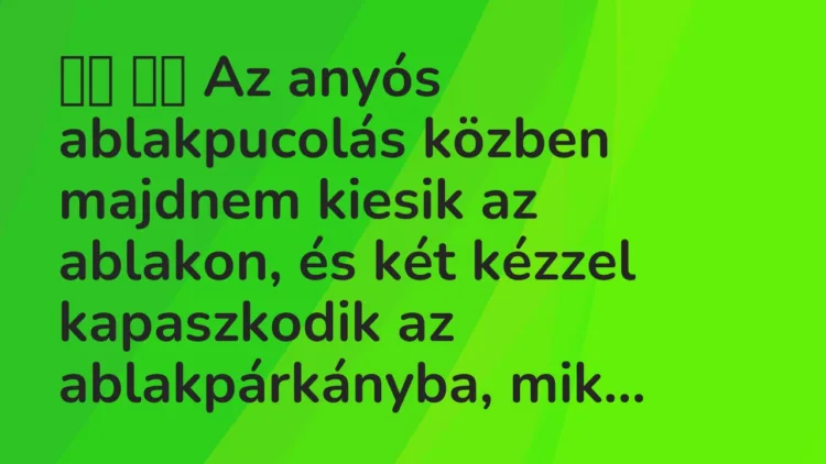 Viccek: Az anyós ablakpucolás közben majdnem kiesik az ablakon, és …